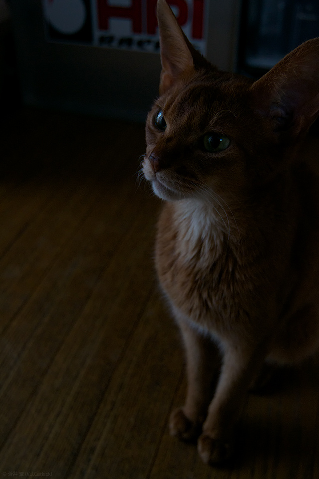 _DSC5567