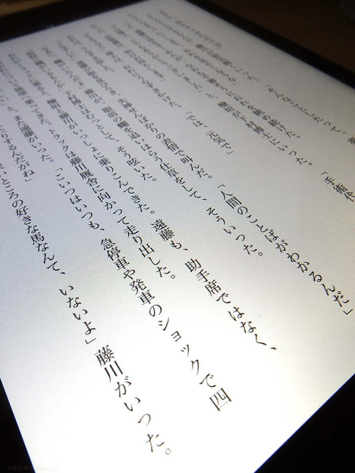 DSCF7290