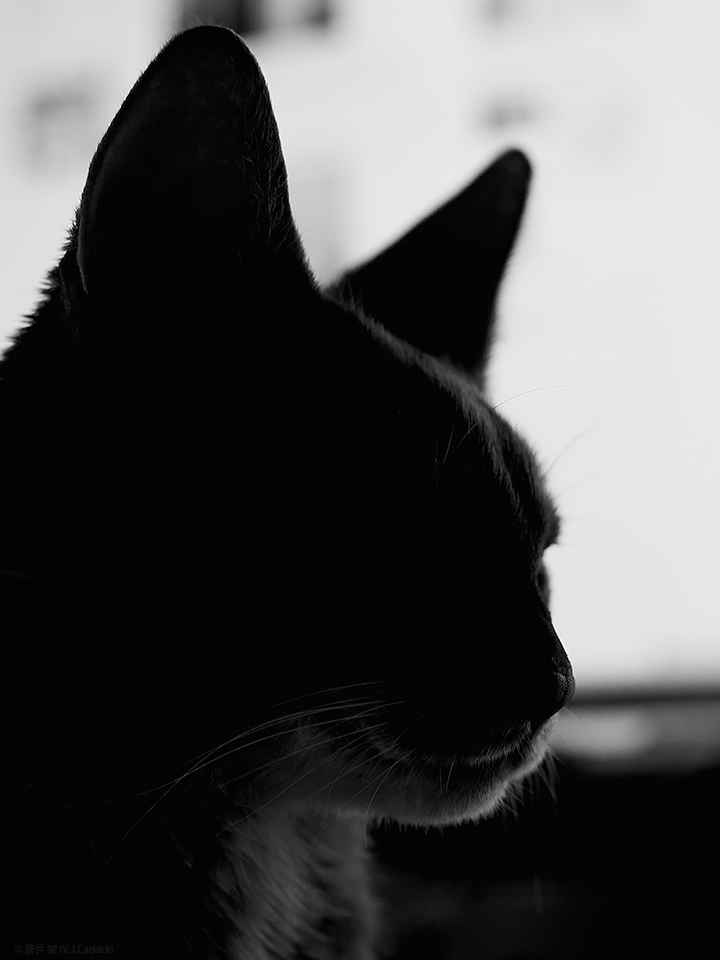 _DSC0014