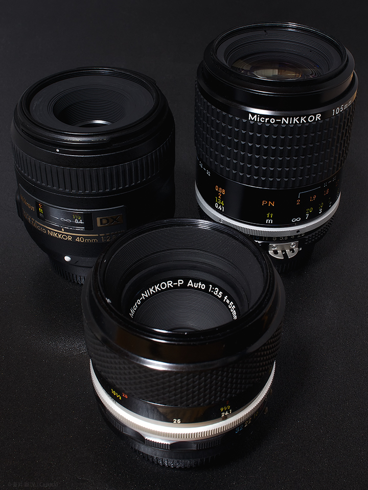 SONY DSC