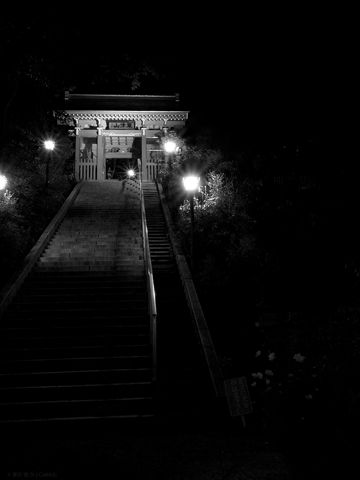 _DSC5000